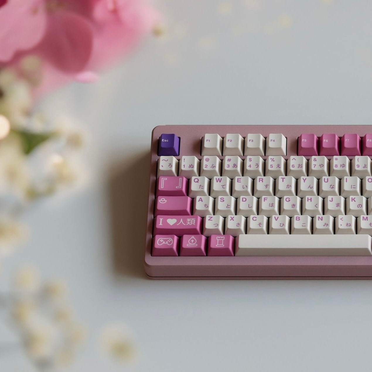 【終了】MWアシェンテ